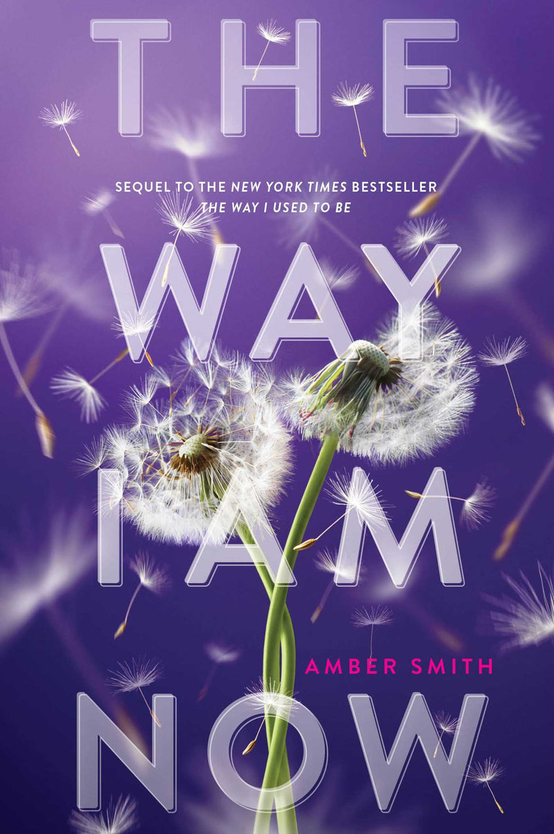 The Way I Am Now by Amber Smith (The Way I Used to Be