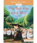 The Boy who cried Wolf Retold by Mairi Mackinnon, Pablo Pino (Illustrator) (Usborne Story Books Level 1)