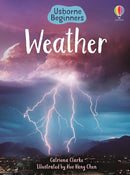Weather by Catriona Clarke and Kuo Kang Chen (Illustrator) (Usborne Beginners)