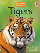 Tigers by James Maclaine and John Francis (Illustrator), Kimberley Scott (Illustrator) (Usborne Beginners)