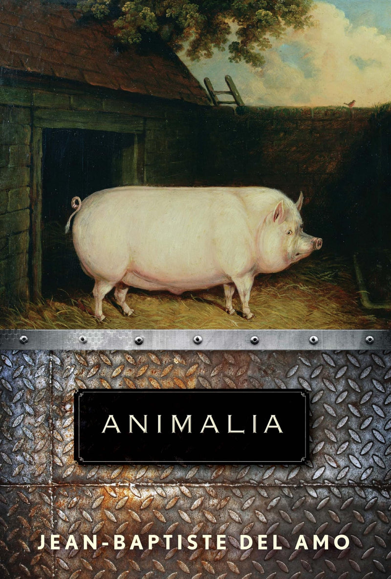 Animalia by Jean-Baptiste Del Amo, Frank Wynne (Translator)