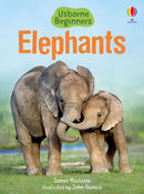 Elephants by James Maclaine and John Francis (Illustrator) (Usborne Beginners)