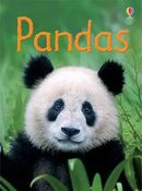 Pandas by James MacLaine and Jenny Cooper (Illustrator), Richard Watson (Illustrator) (Usborne Beginners)