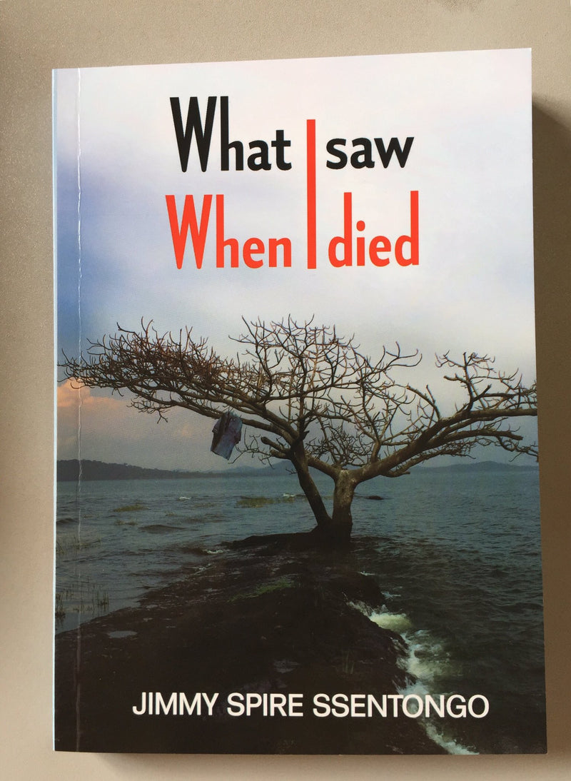 What I Saw When I Died by Jimmy Spire Sentongo